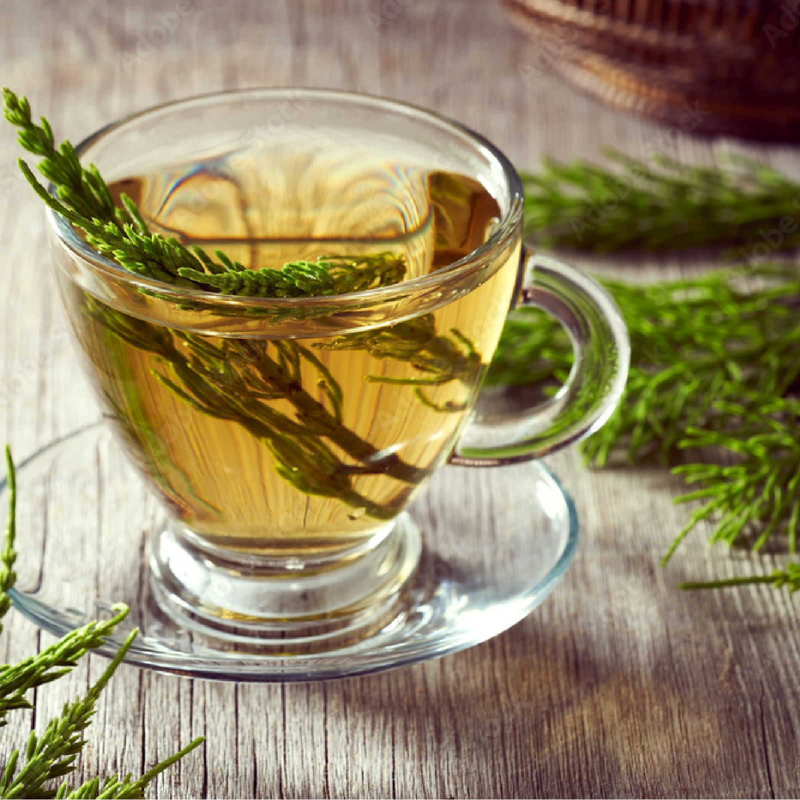 Schachtelhalmkraut geschnitten (500g)