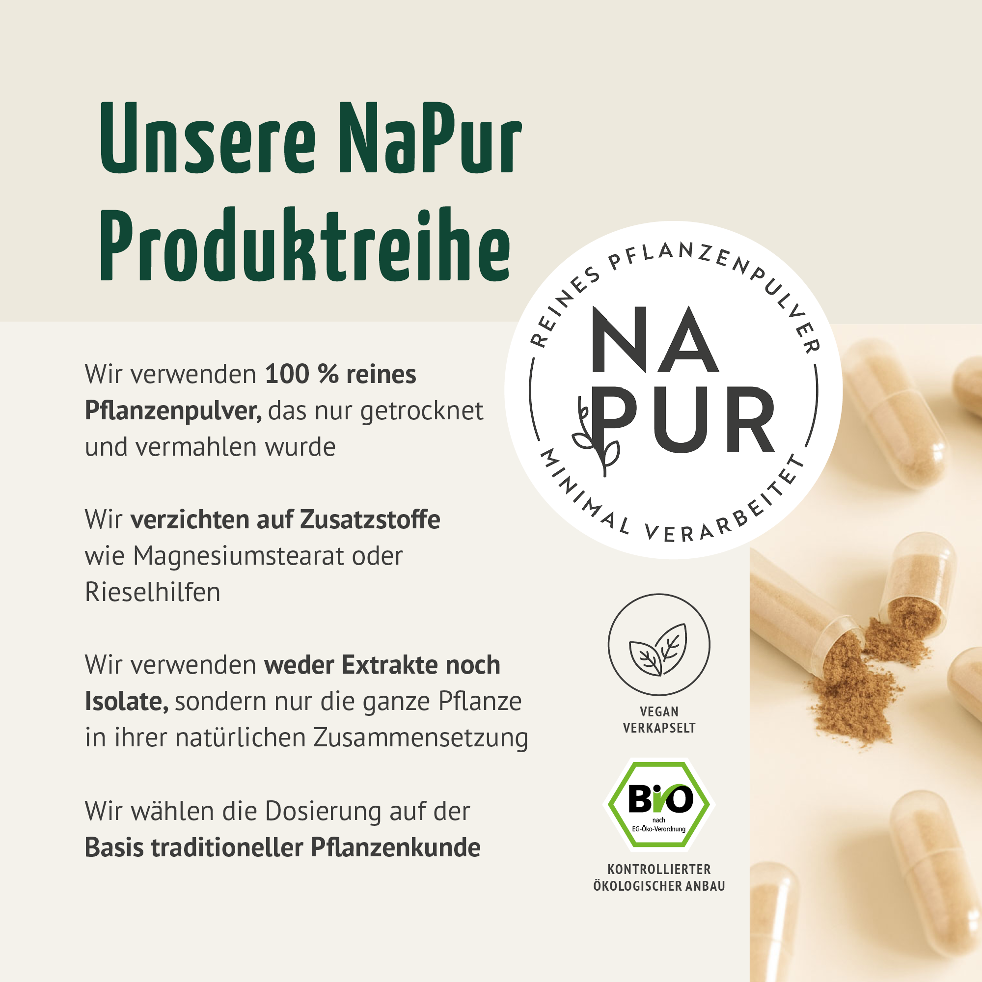 Bockshornklee Kapseln Bio (160 Kapseln)