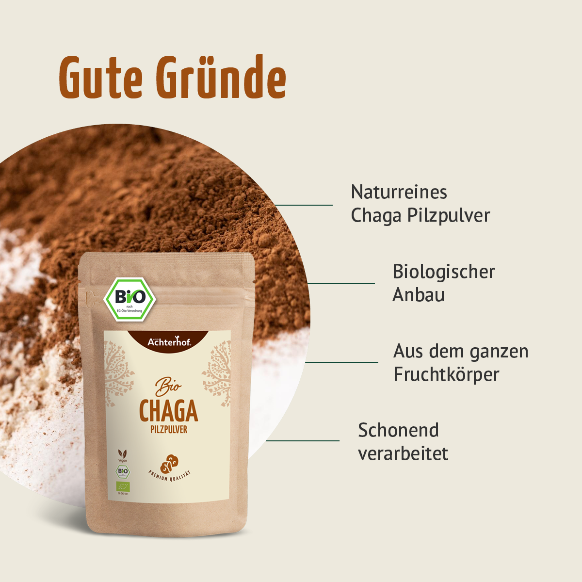 Bio Chaga Pilzpulver (250g)