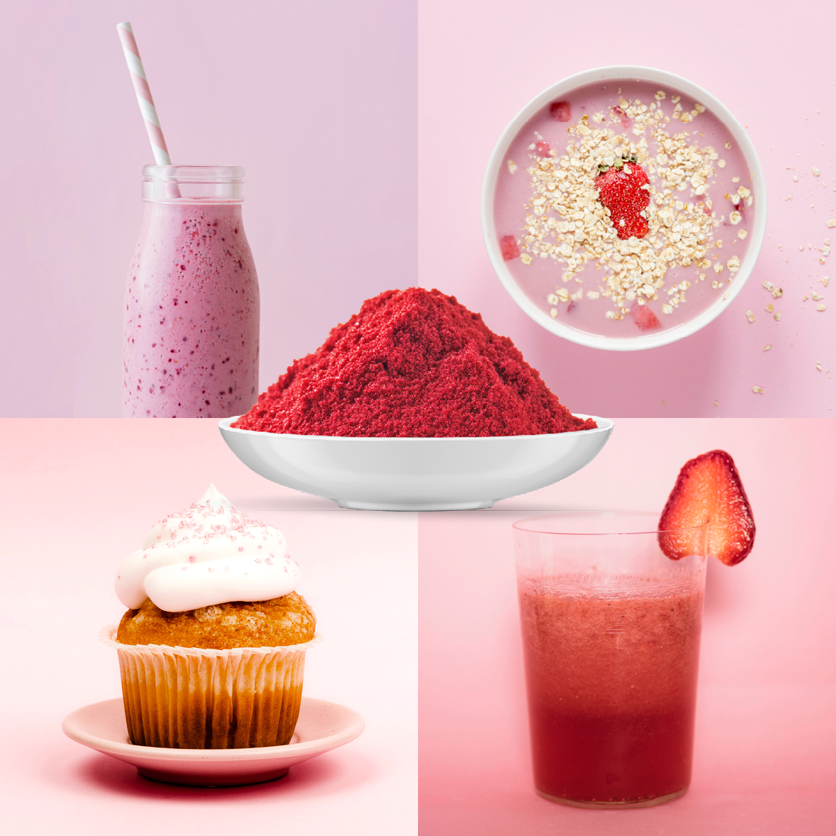 Bio Erdbeere Fruchtpulver (250g)