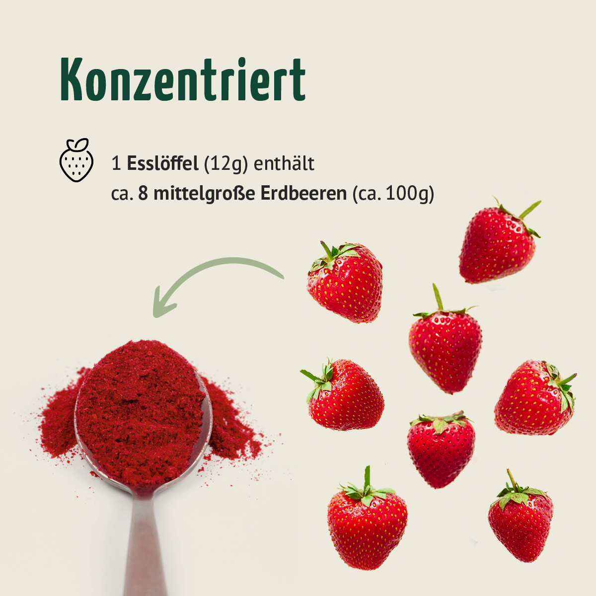 Bio Erdbeere Fruchtpulver (250g)