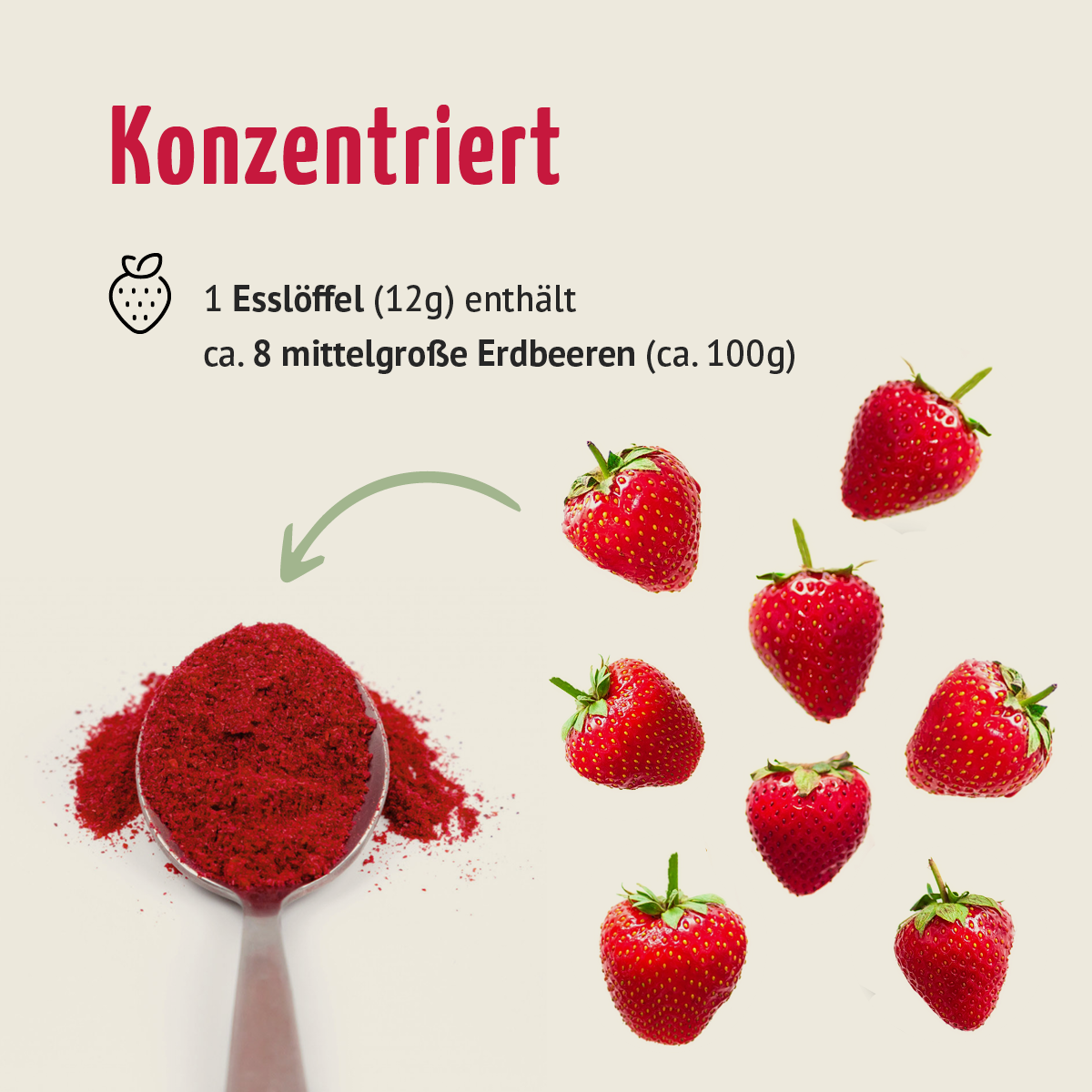 Bio Erdbeere Fruchtpulver (100g)