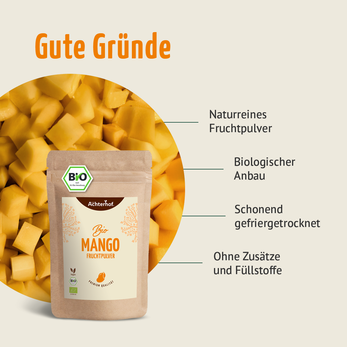 Bio Matcha Fruchtpulver Set