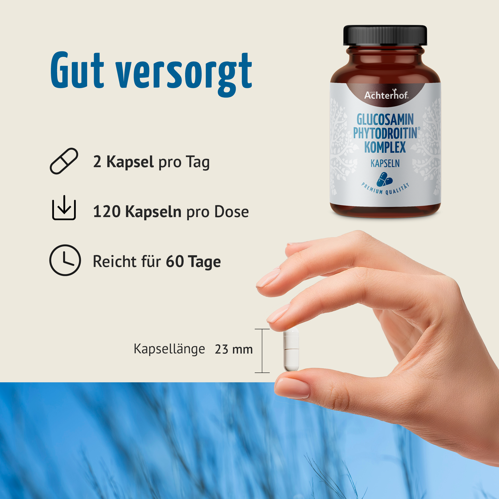 Glucosamin Phytodroitin® Komplex Kapseln (120 Kapseln)