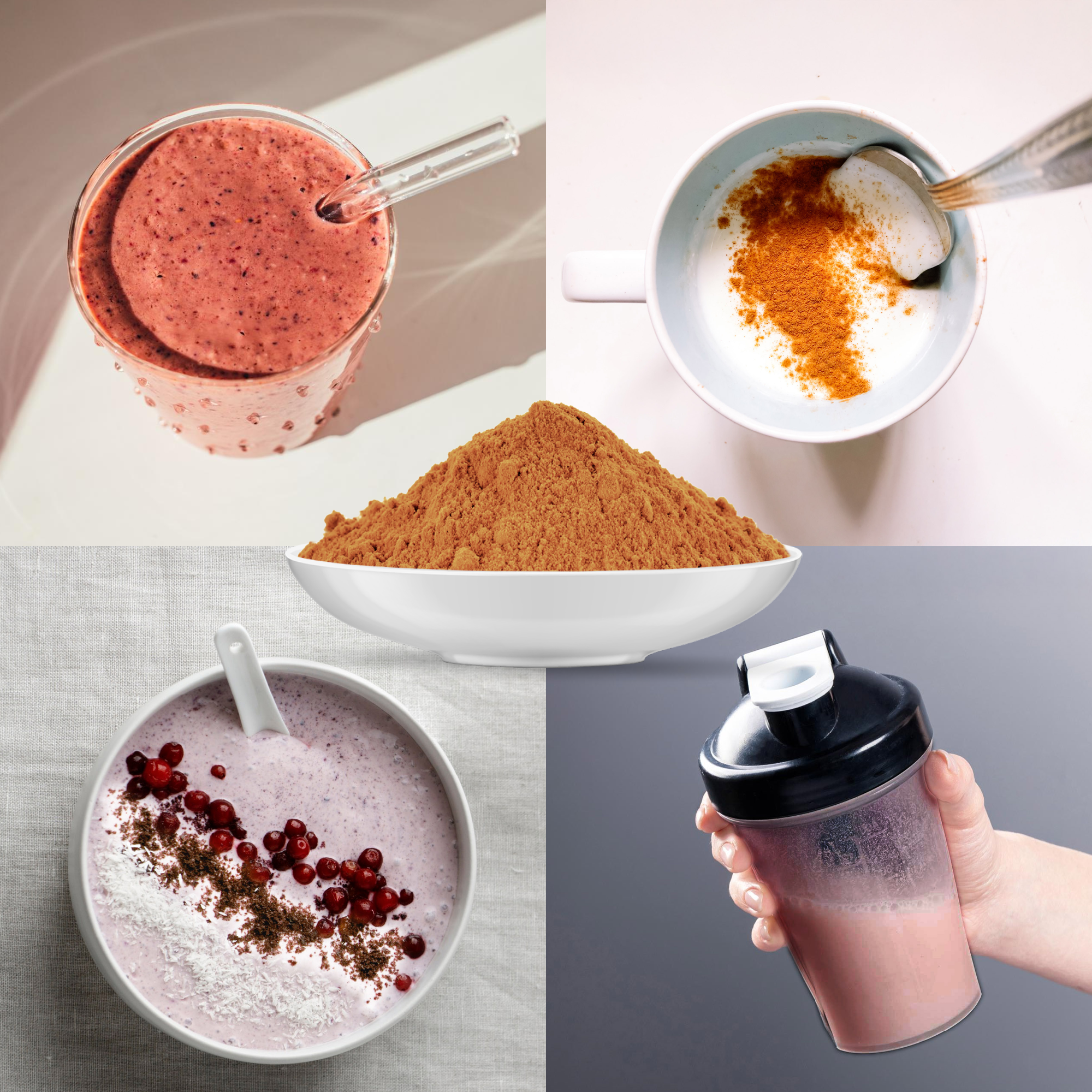 Bio Hagebutten Pulver (500g)