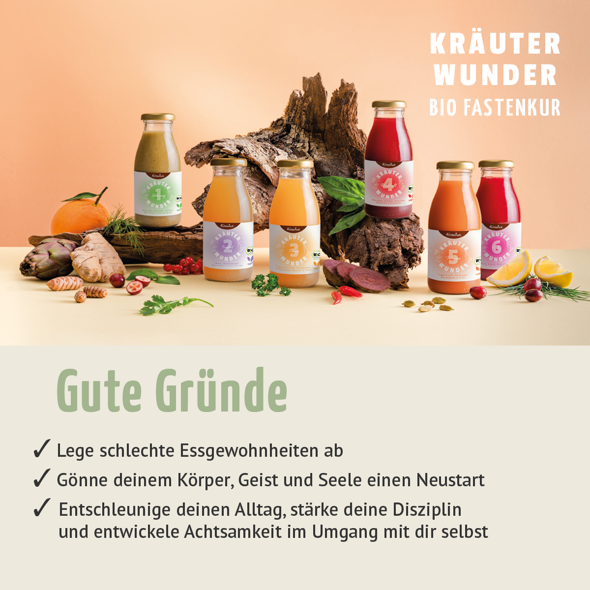 Kräuterwunder Bio Fastenkur 4+1 Tag gratis