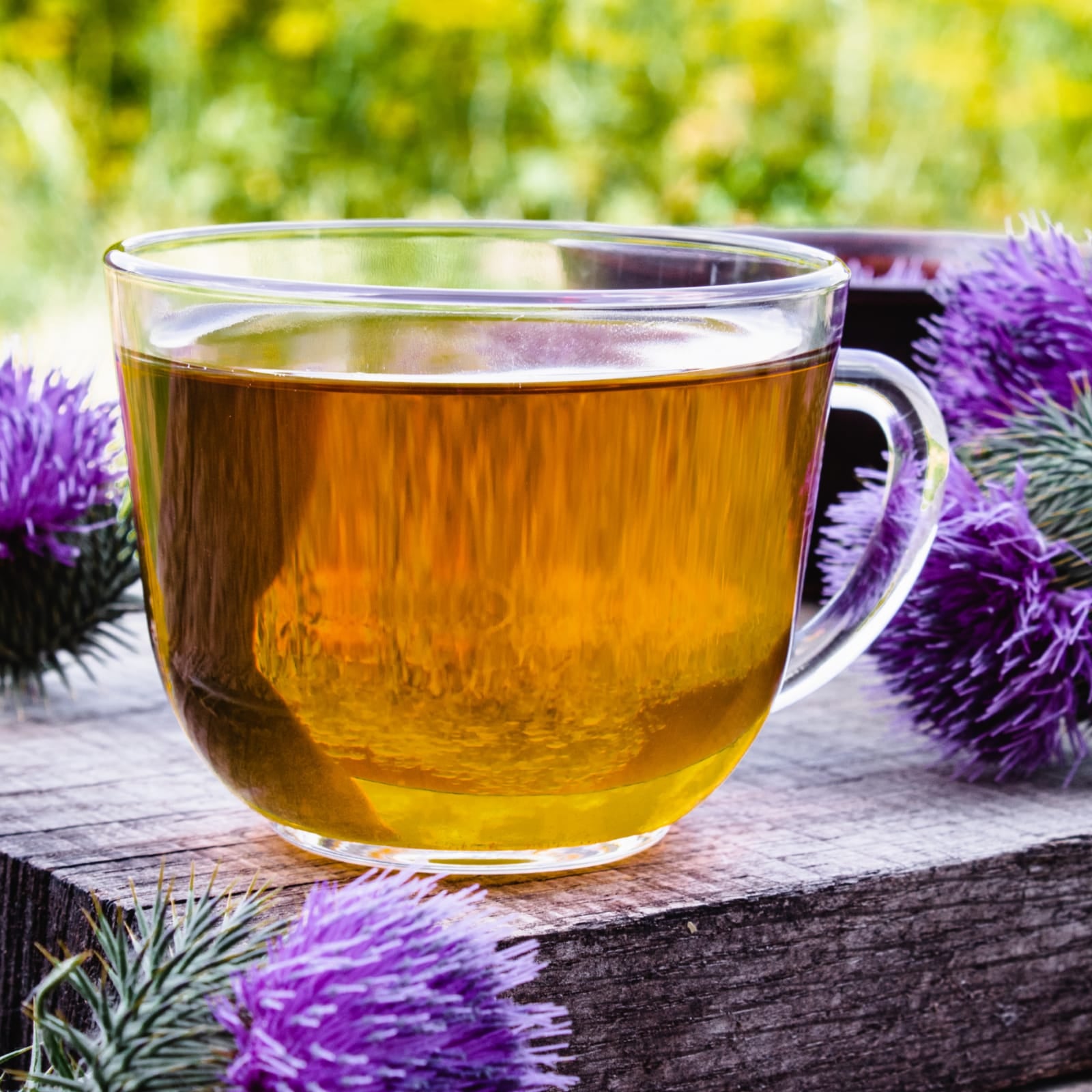 Mariendistelsamen ganz (500g)