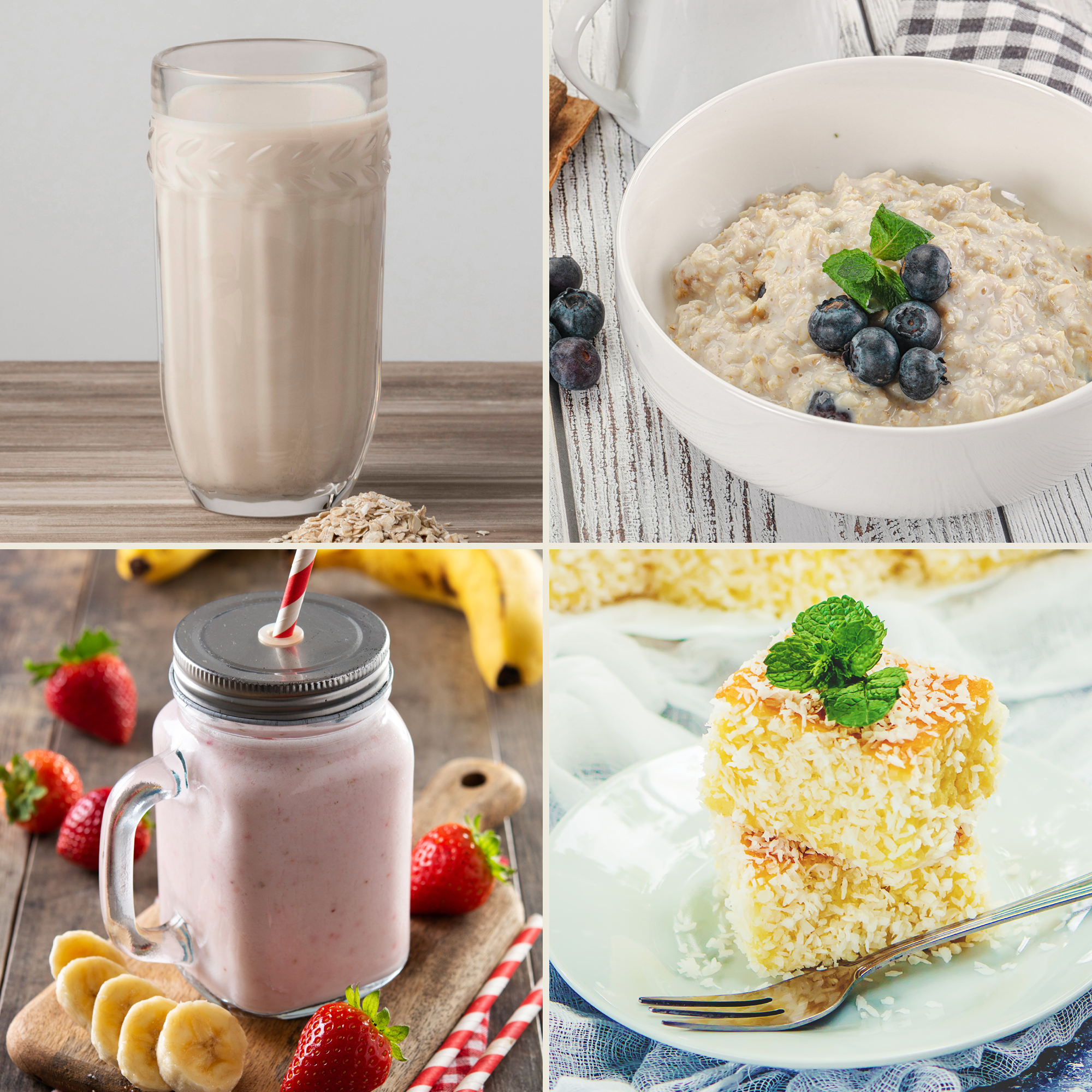 Bio Protein Basis Mix x4 (500g)