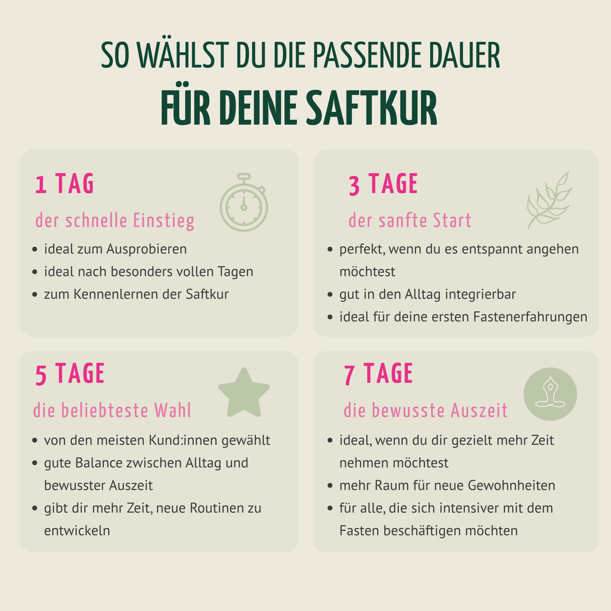 Saftstart Bio Fastenkur 3 Tage (18 Flaschen)