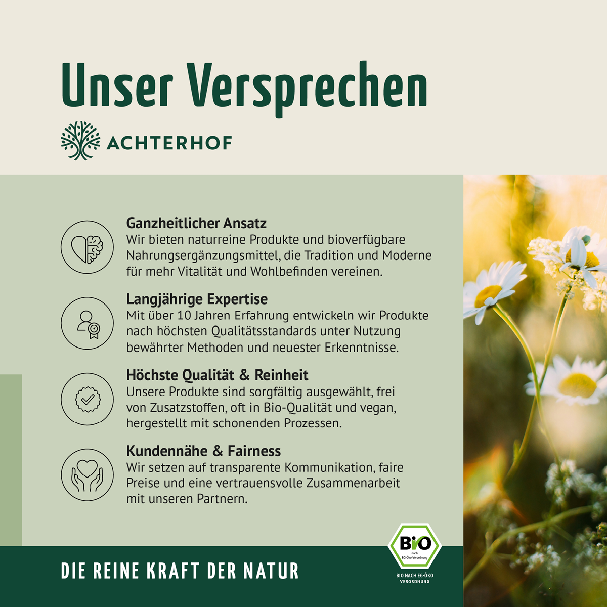 Saftzeit Bio Fastenkur 1-7 Tage (6 Flaschen pro Tag)