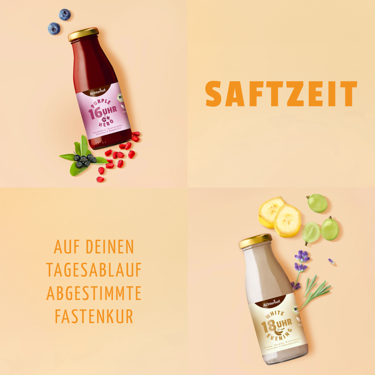 Saftzeit Bio Fastenkur 1 Tag (6 Flaschen)