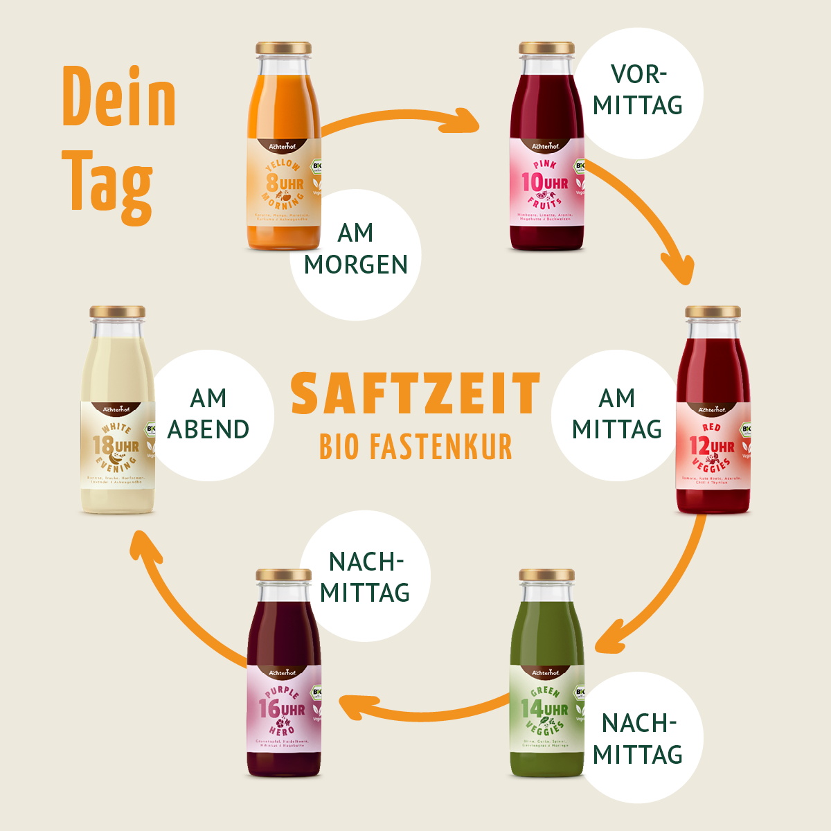 Saftzeit Bio Fastenkur 1 Tag (6 Flaschen)