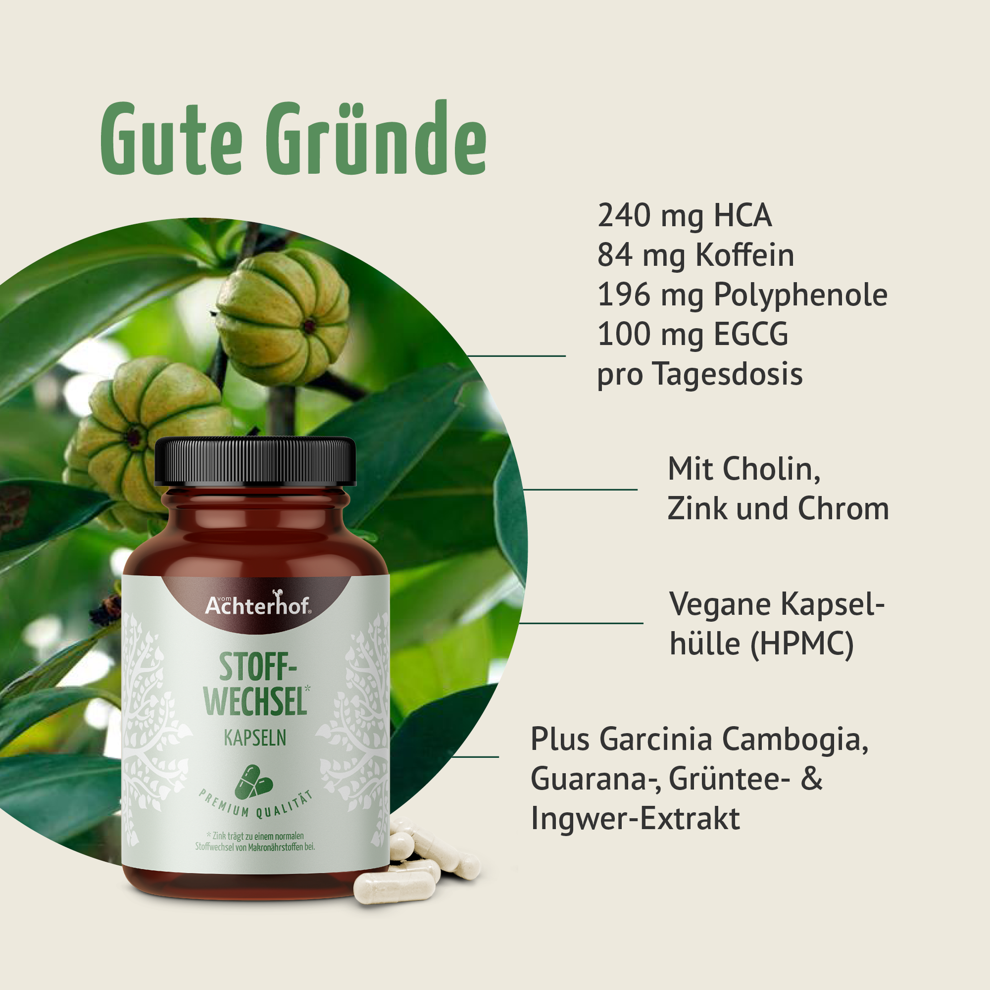 Stoffwechsel Kapseln (120 Kapseln)