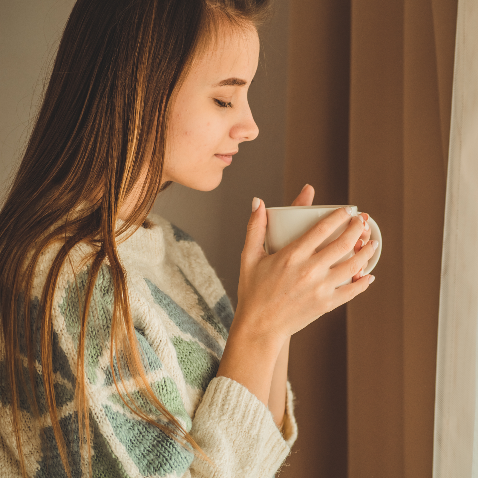 Tormentillwurzel Blutwurz geschnitten (100g)