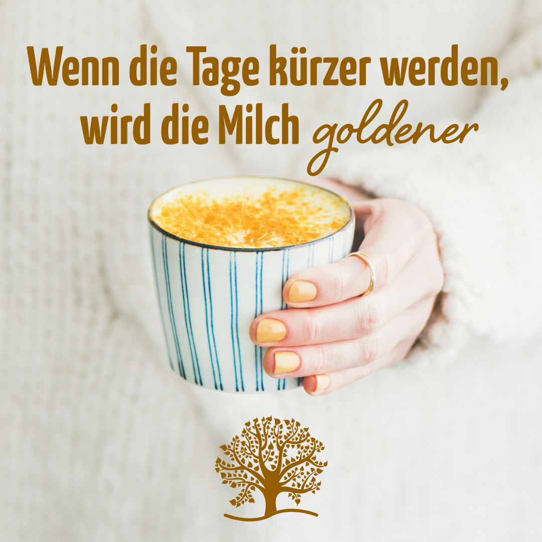 Goldene Milch Mischung 3er Bio Set + Frischhaltedosen