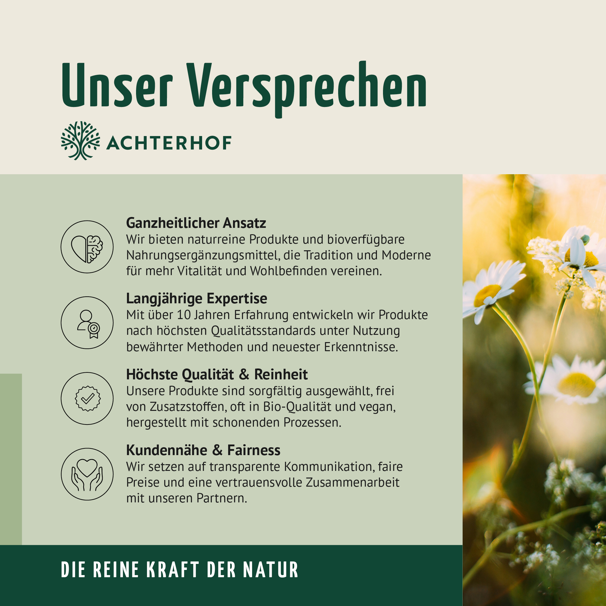 Vitamin Mineral Komplex (150 Kapseln)