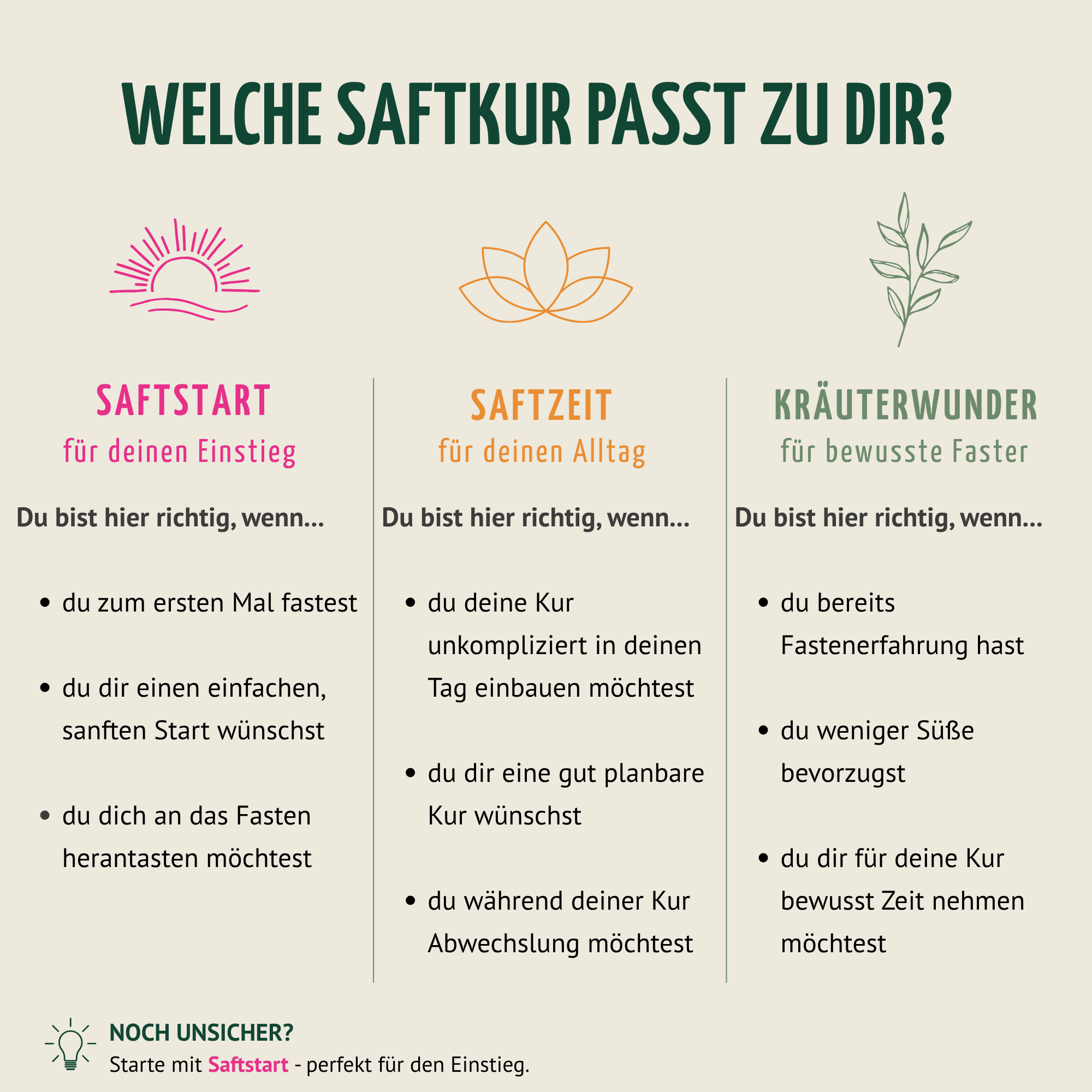 Saftstart Bio Fastenkur 5 Tage (30 Flaschen)