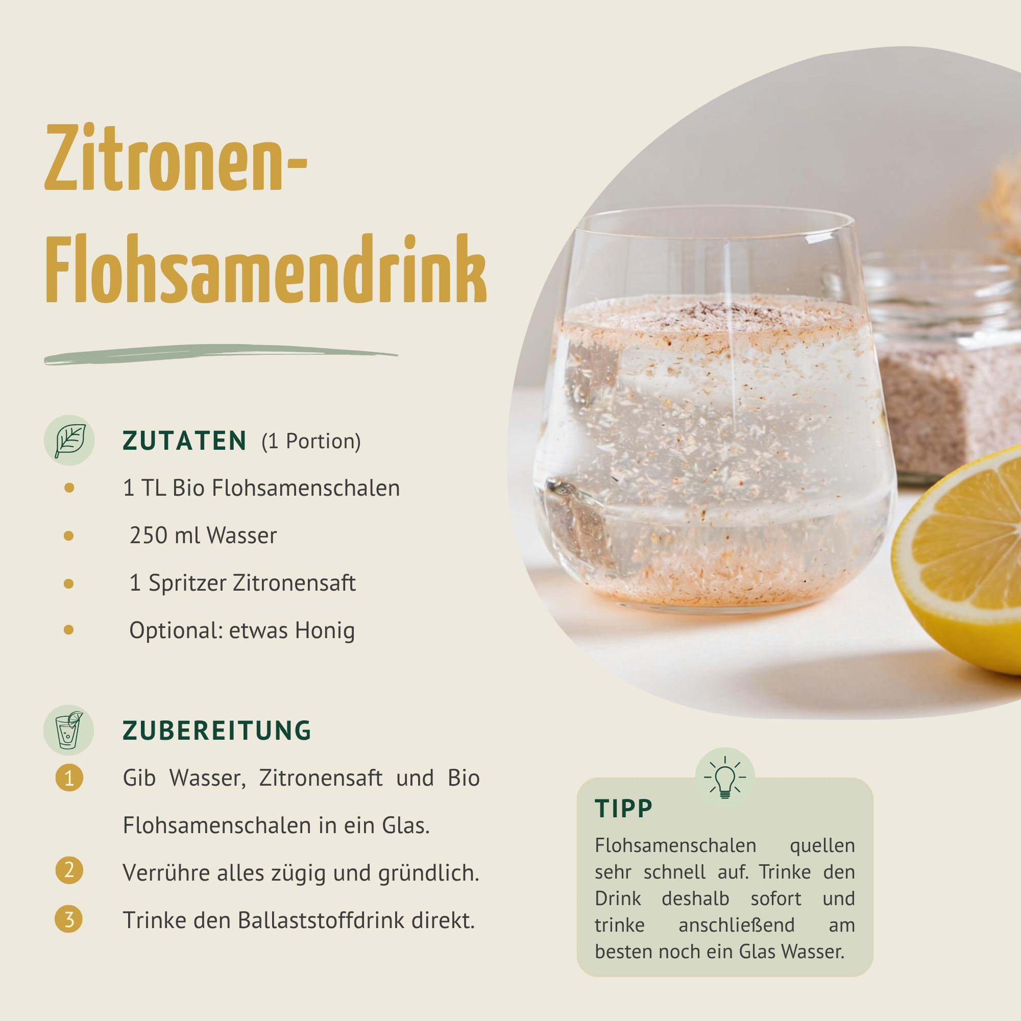 Flohsamenschalen Bio (1000g)