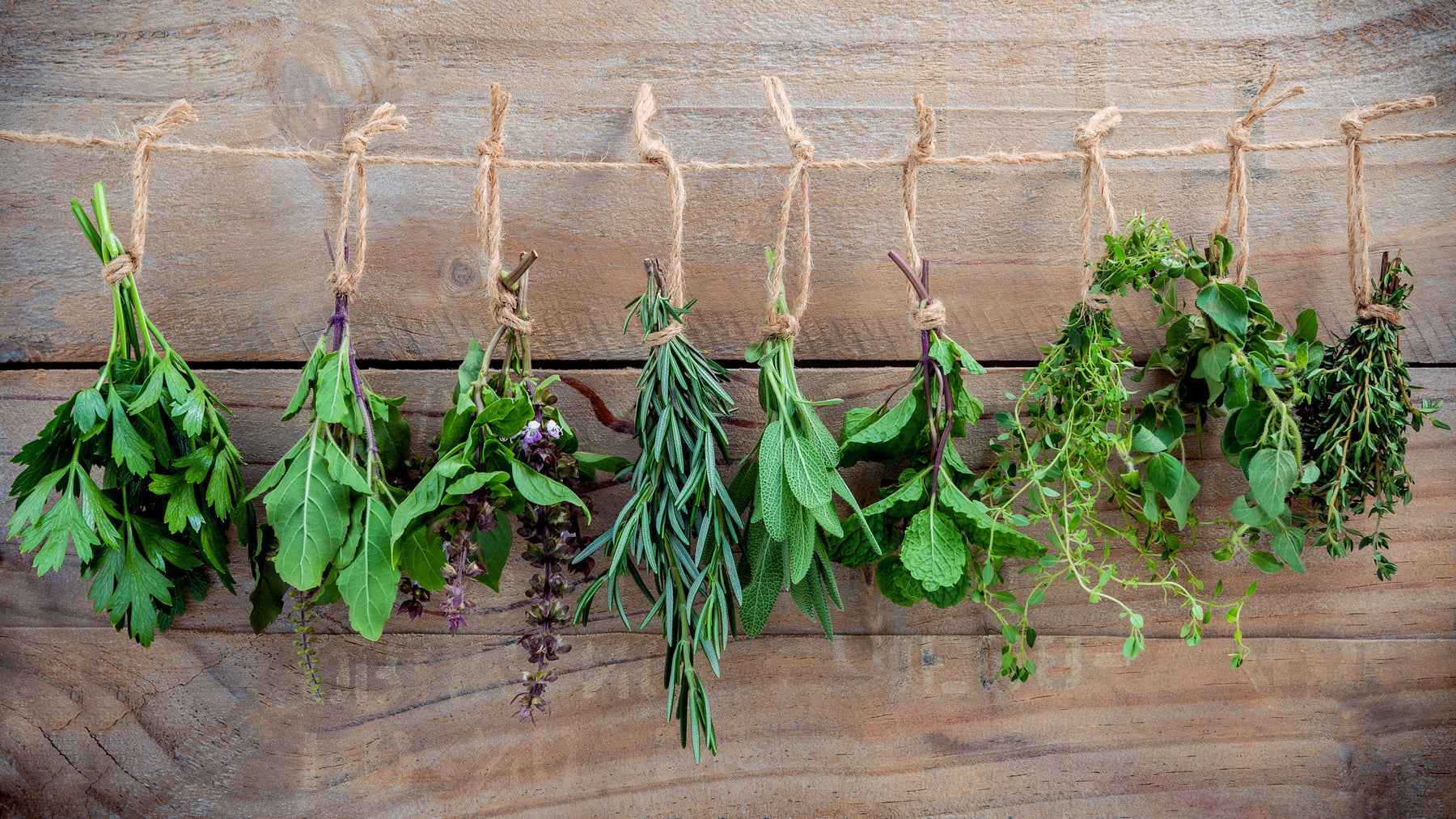 Pflanzenpulver: Greens