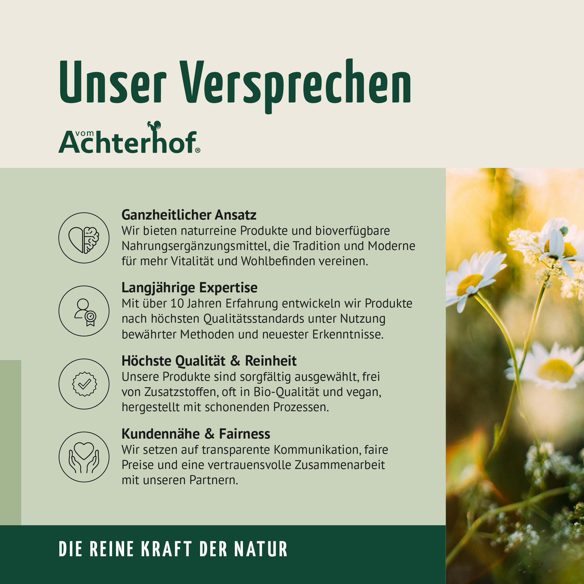 Kreatin Monohydrat Pulver (100g)