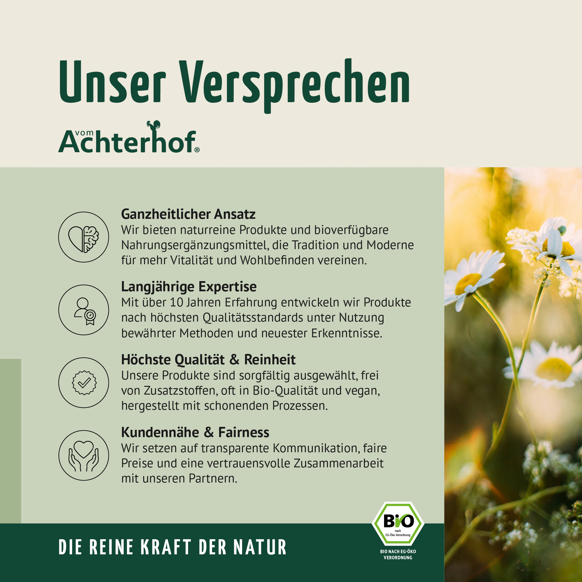 Saftzeit Bio Fastenkur 4+1 Tag gratis