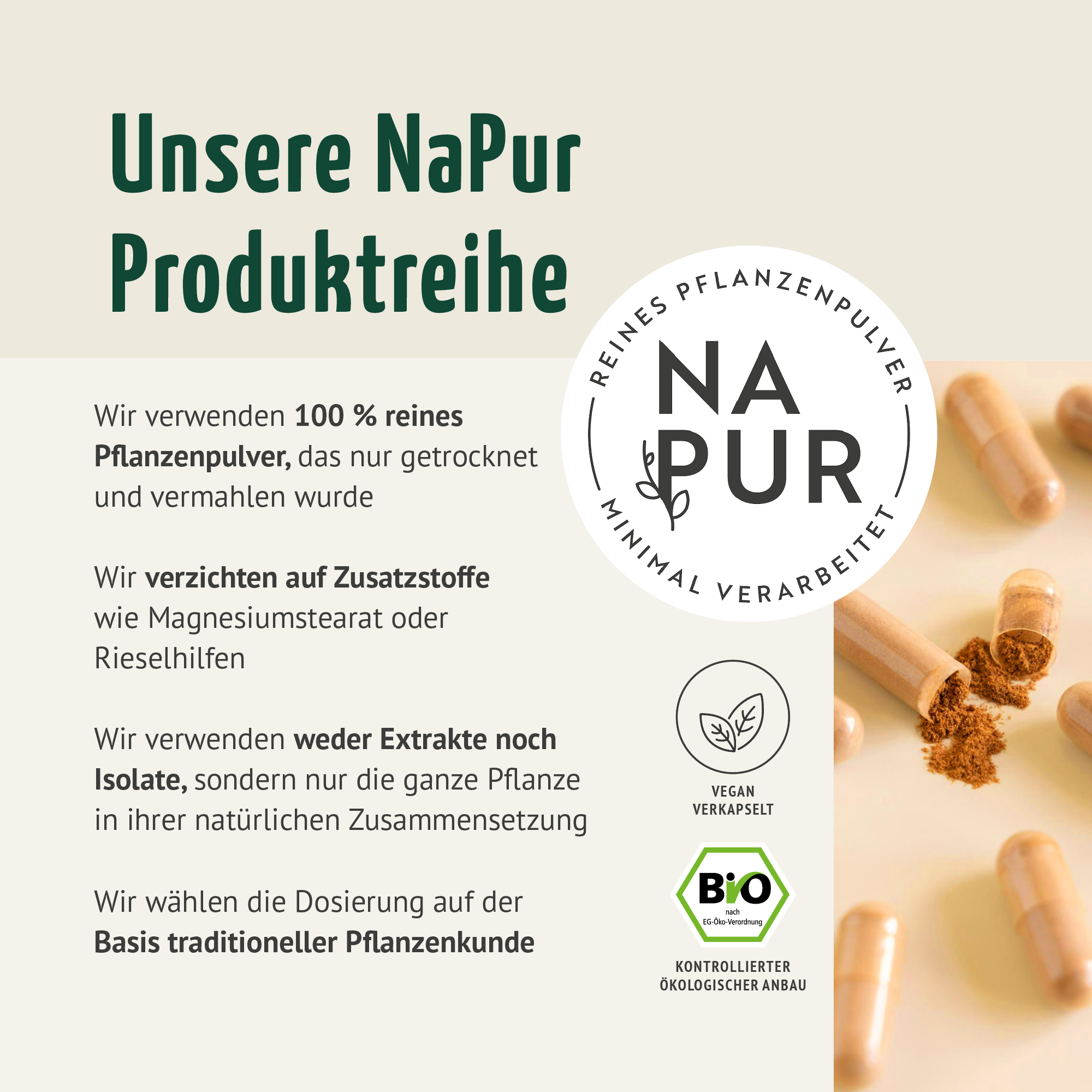 Bio Kurkuma Kapseln Nachfüllpack (400 Kapseln)