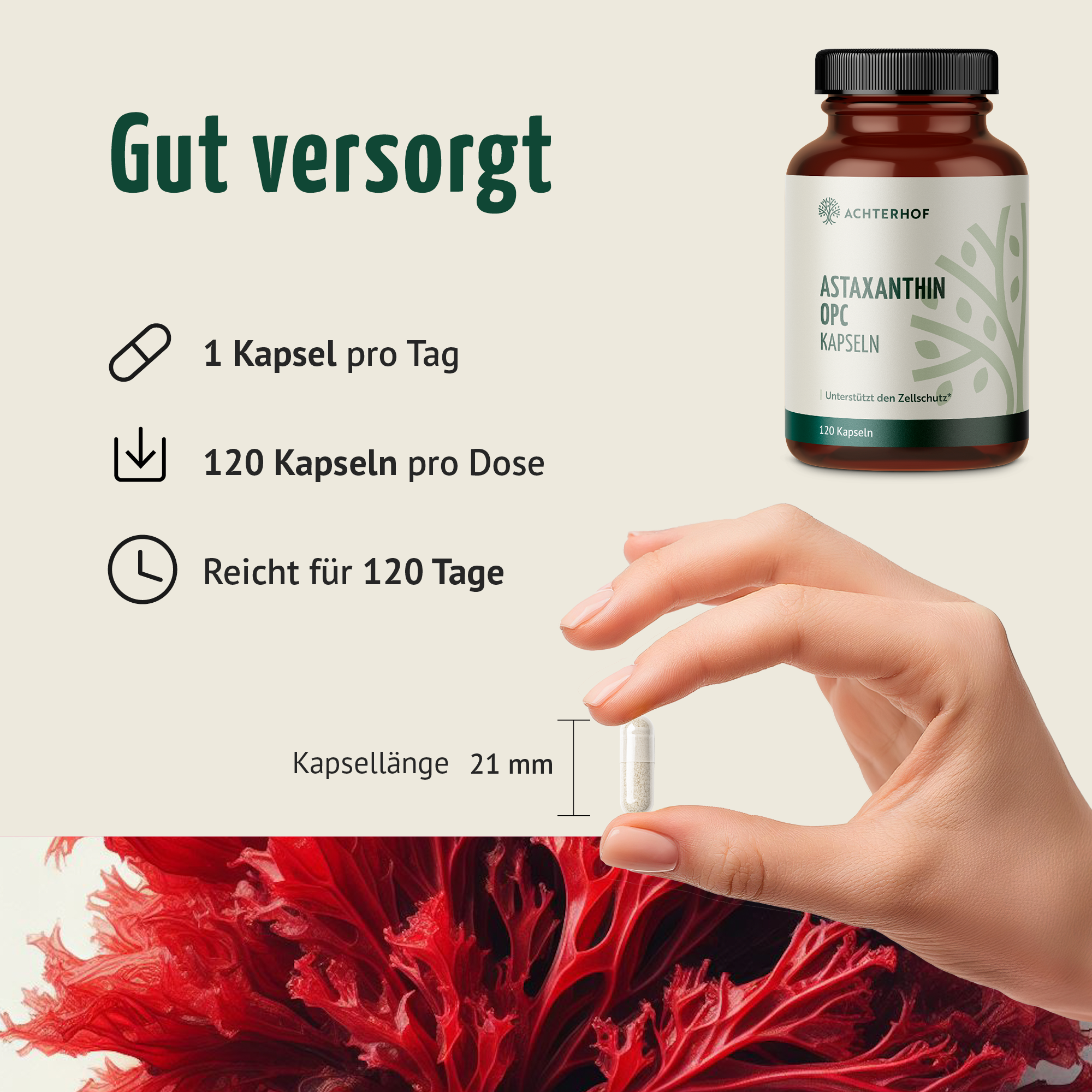 Astaxanthin OPC Zellschutz Kapseln (120 Kapseln)