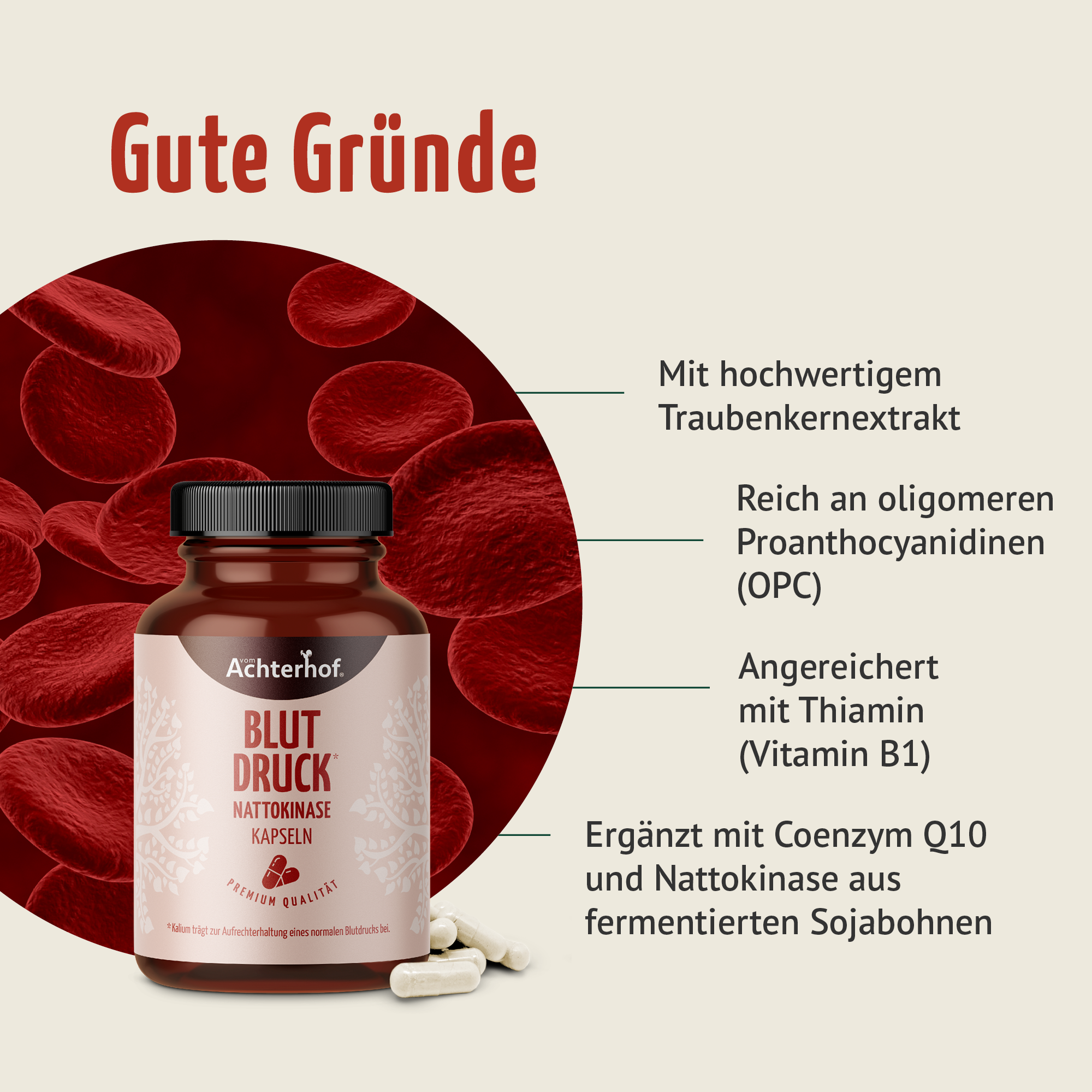 Blutdruck Nattokinase Kapseln (150 Kapseln)