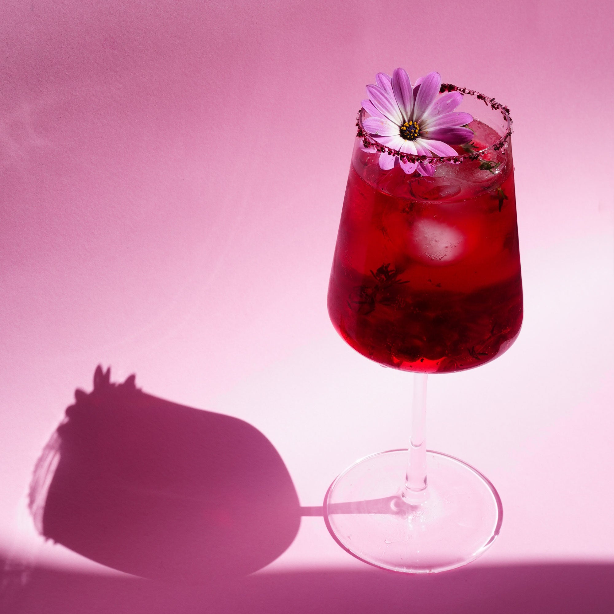 Hibiskus Mate Eistee Set