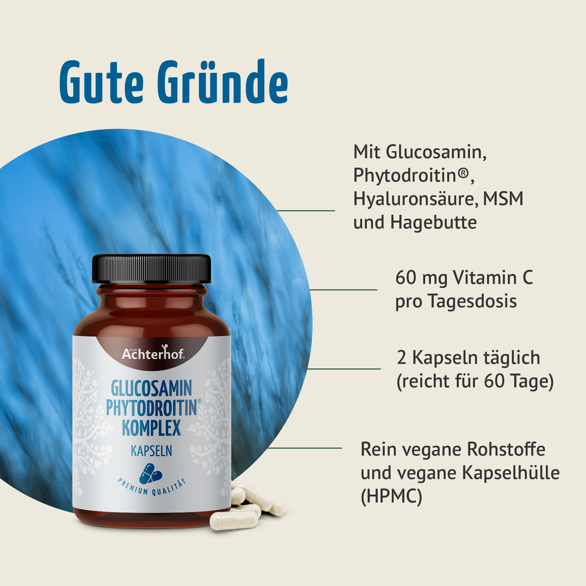 Glucosamin Phytodroitin® Komplex Kapseln (120 Kapseln)