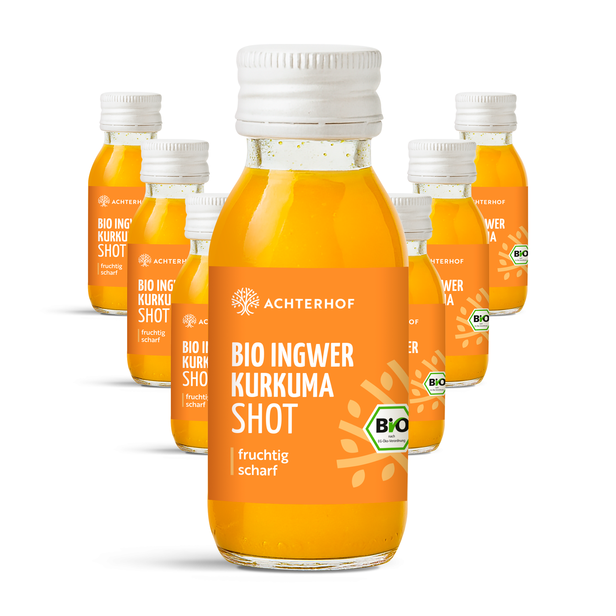 Bio Ingwer Kurkuma Shot (7 x 60ml)