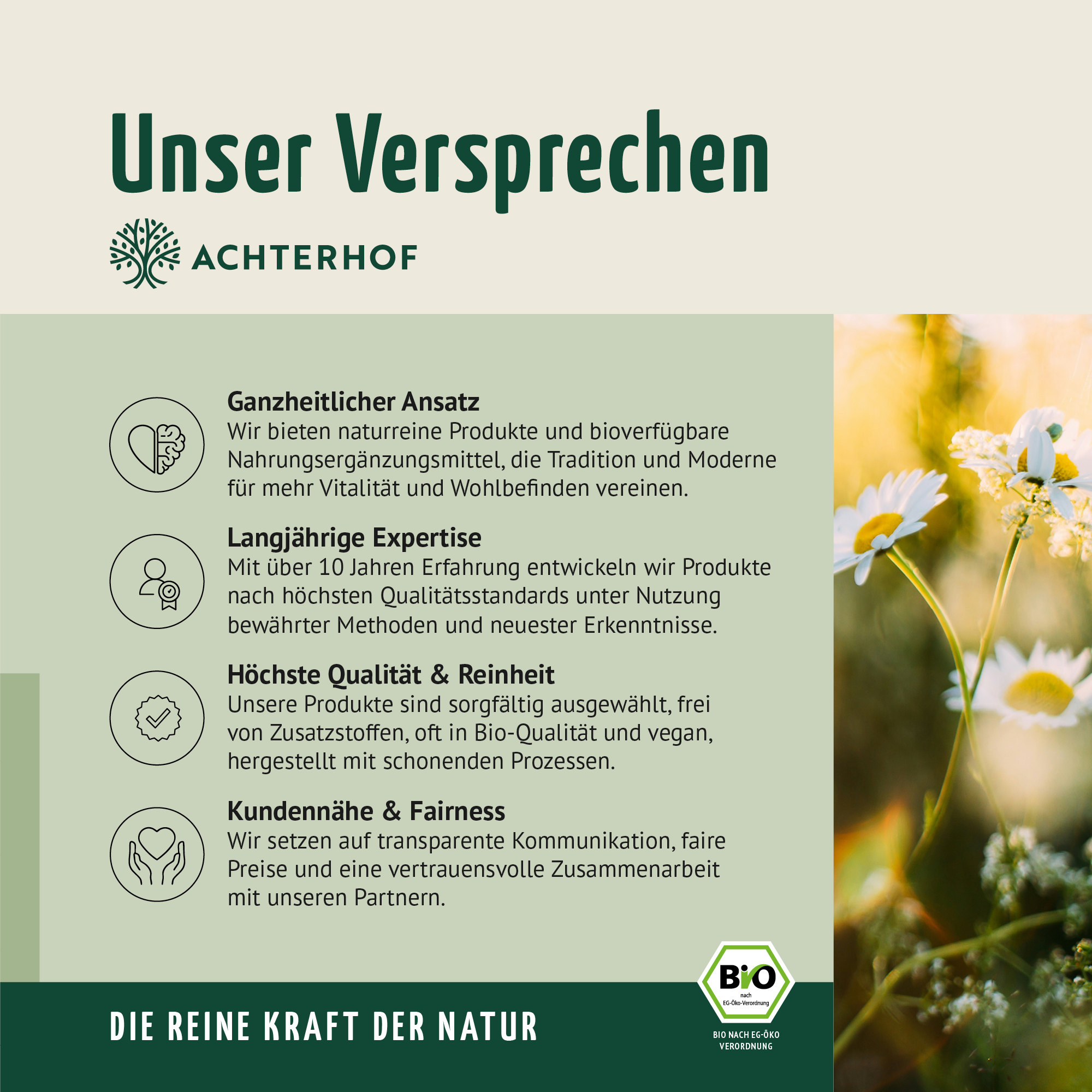 Bio Ingwer Kurkuma Shot (7 x 60ml)