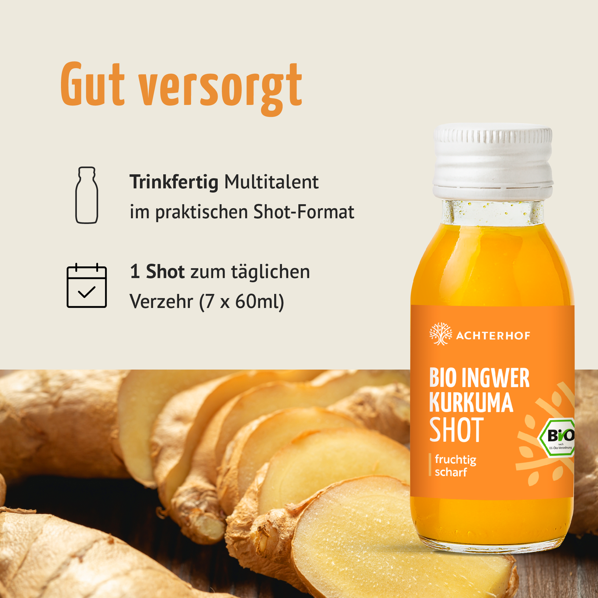 Bio Ingwer Kurkuma Shot (7 x 60ml)