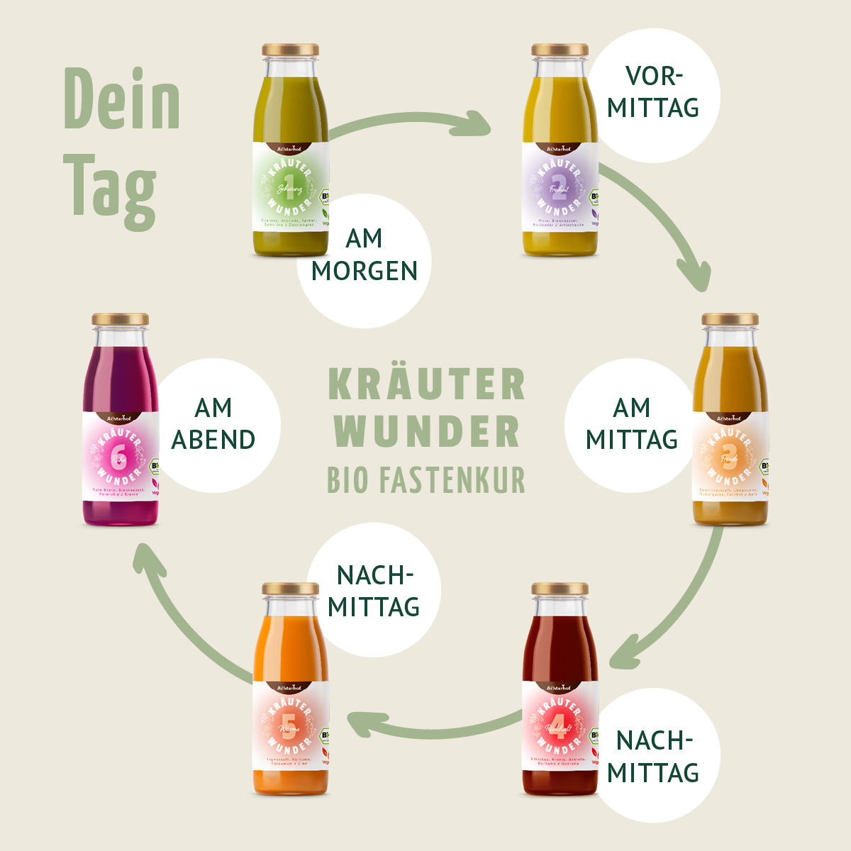 Kräuterwunder Bio Fastenkur 3 Tage (18 Flaschen)