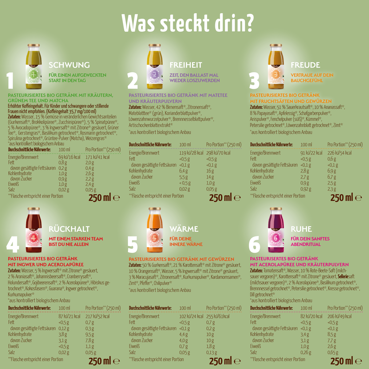 Kräuterwunder Bio Fastenkur 3 Tage (18 Flaschen)