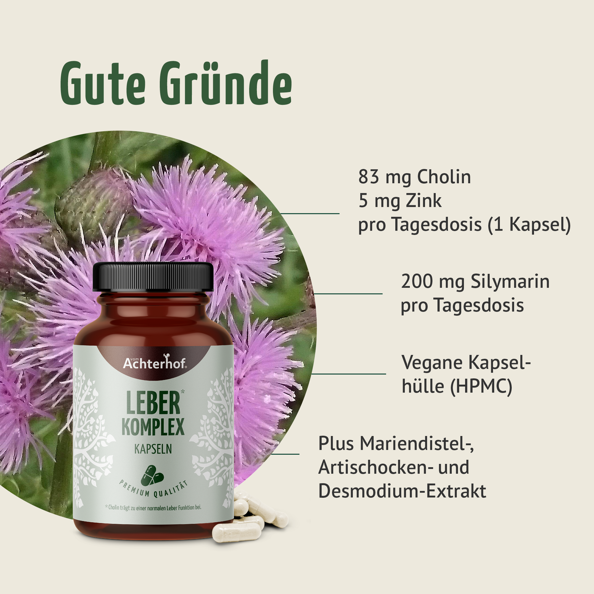 Leber Komplex Kapseln (120 Kapseln)