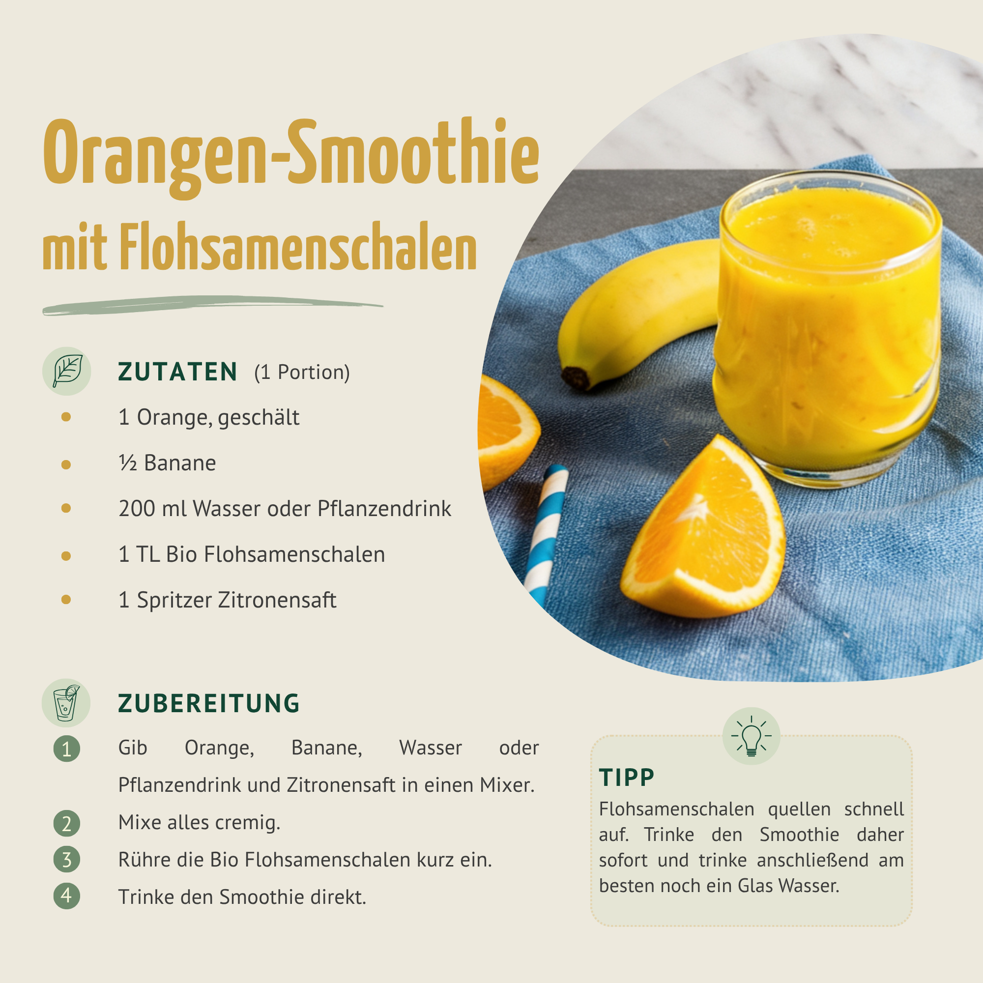 Flohsamenschalen Bio (1000g)