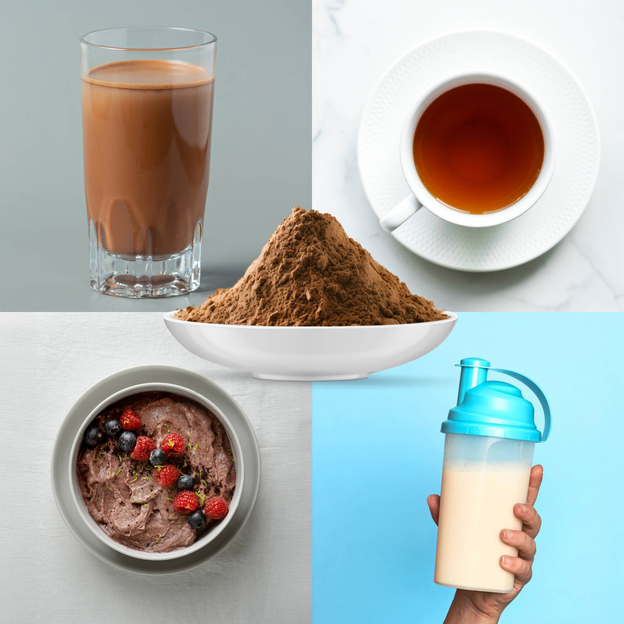 Bio Reishi Pilzpulver (100g)