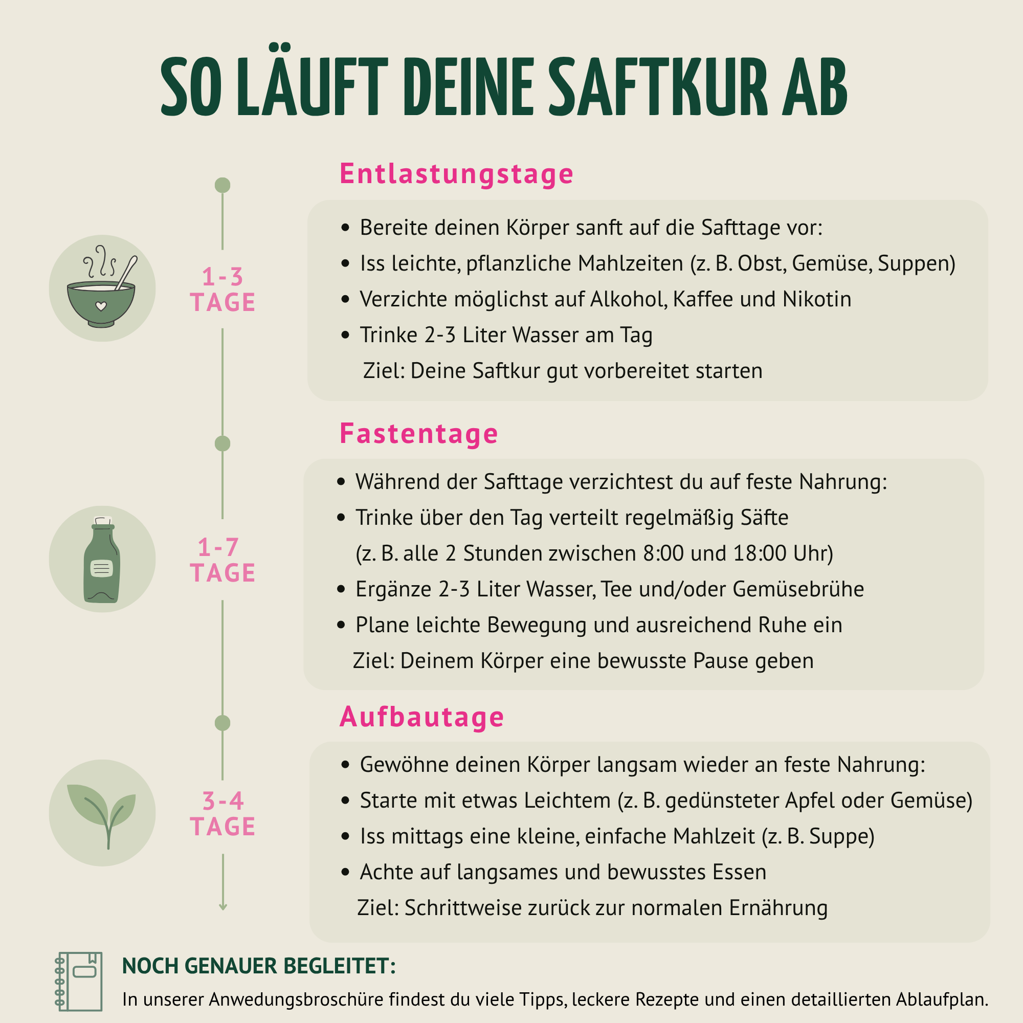 Saftstart Bio Fastenkur 5 Tage (30 Flaschen)