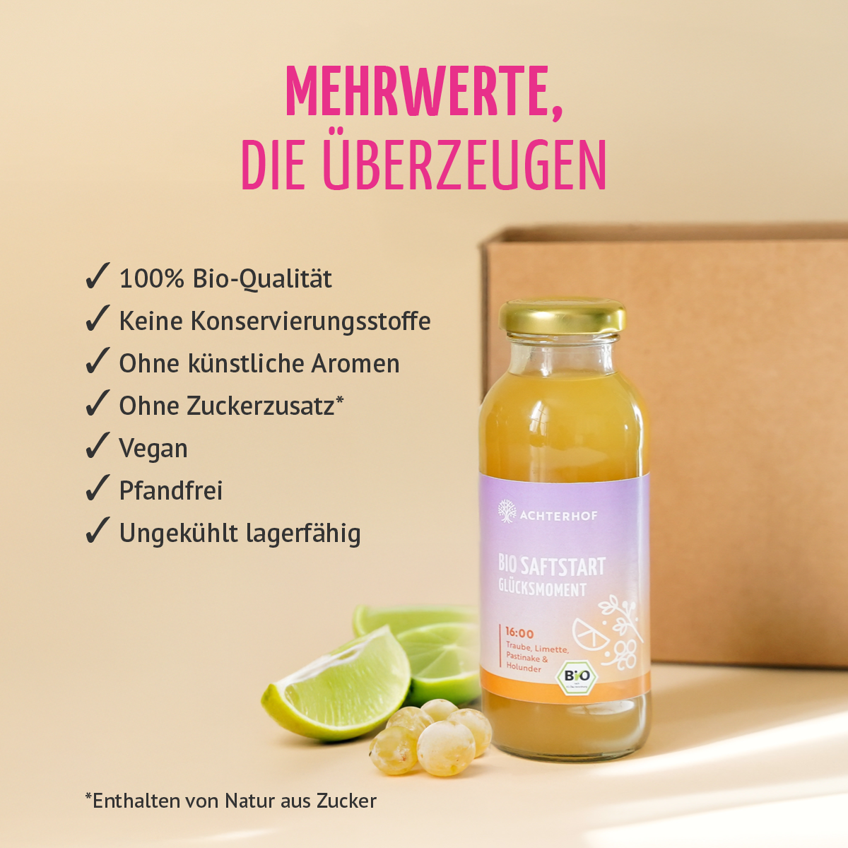 Saftstart Bio Fastenkur 5 Tage (30 Flaschen)