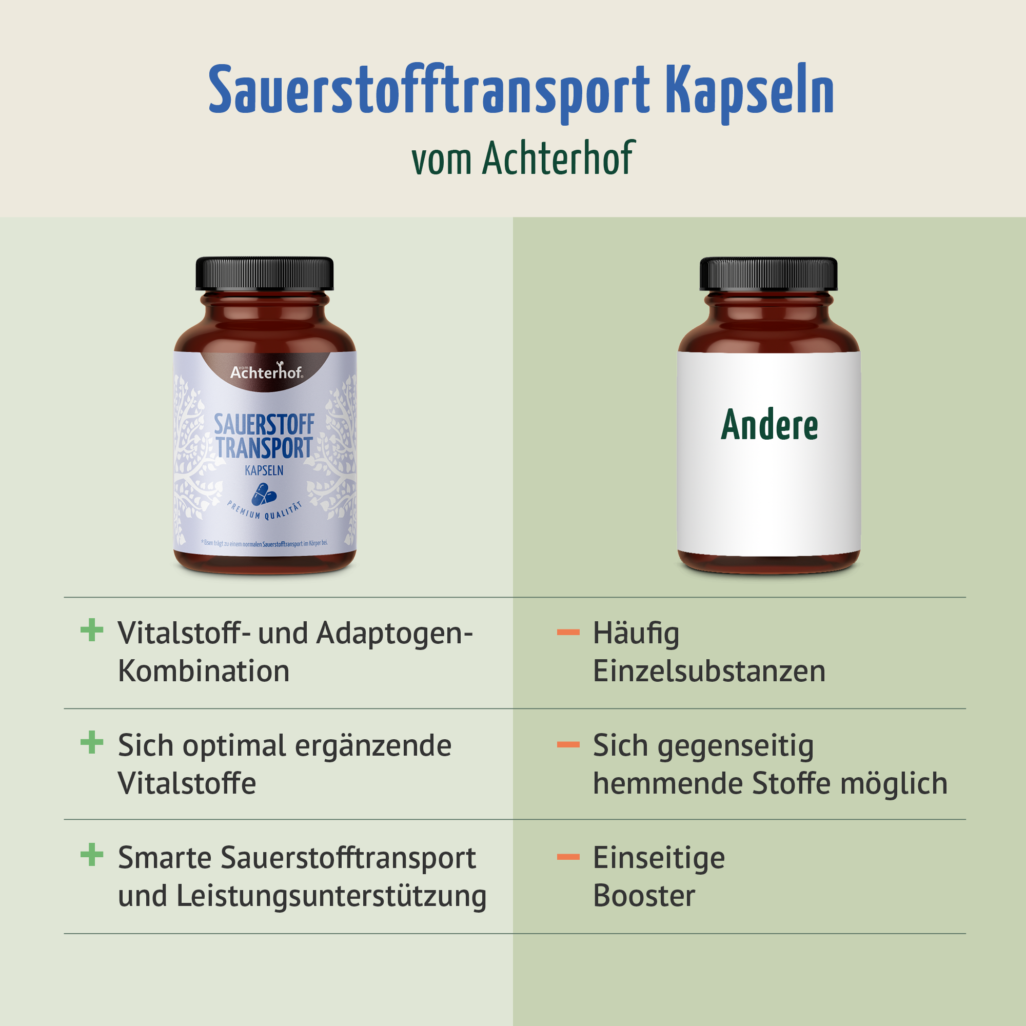 Sauerstoff Transport Kapseln (120 Kapseln)