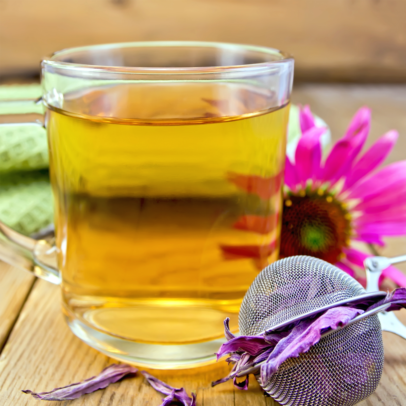 Sonnenhutkraut aus der Echinacea Pflanze geschnitten (250g)