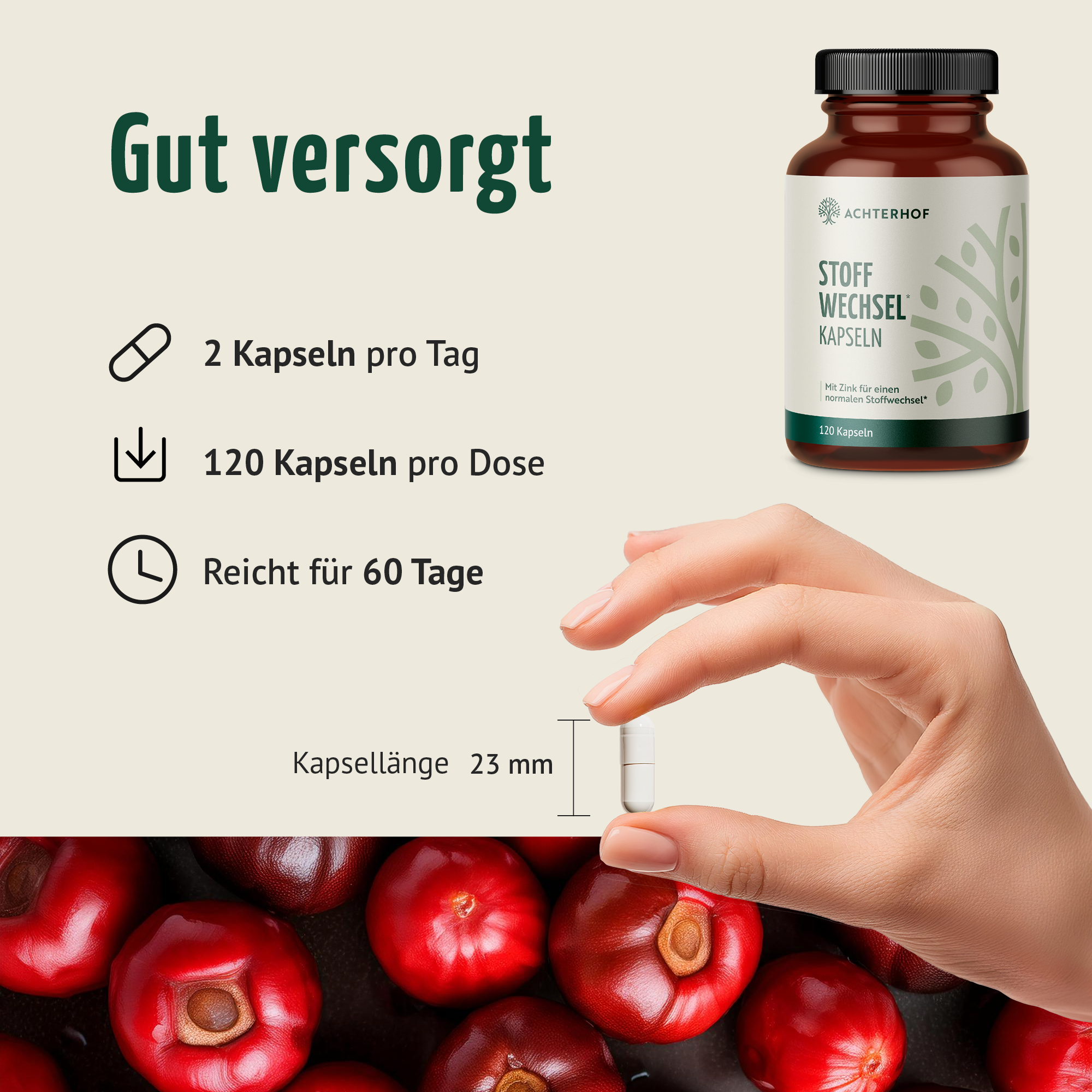 Stoffwechsel Kapseln (120 Kapseln)